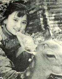 鹿鸣翠谷Deer Crying in Valley