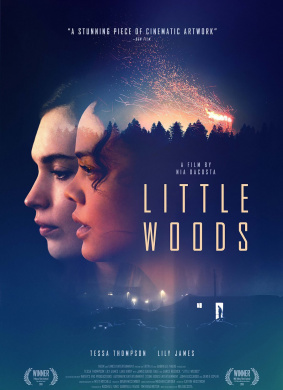 小森林Little Woods