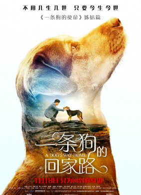 一条狗的回家路A Dog's Way Home