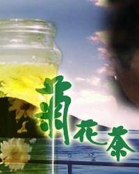 菊花茶Chrysanthemum Tea