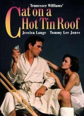 热铁皮屋顶上的猫Cat on a Hot Tin Roof